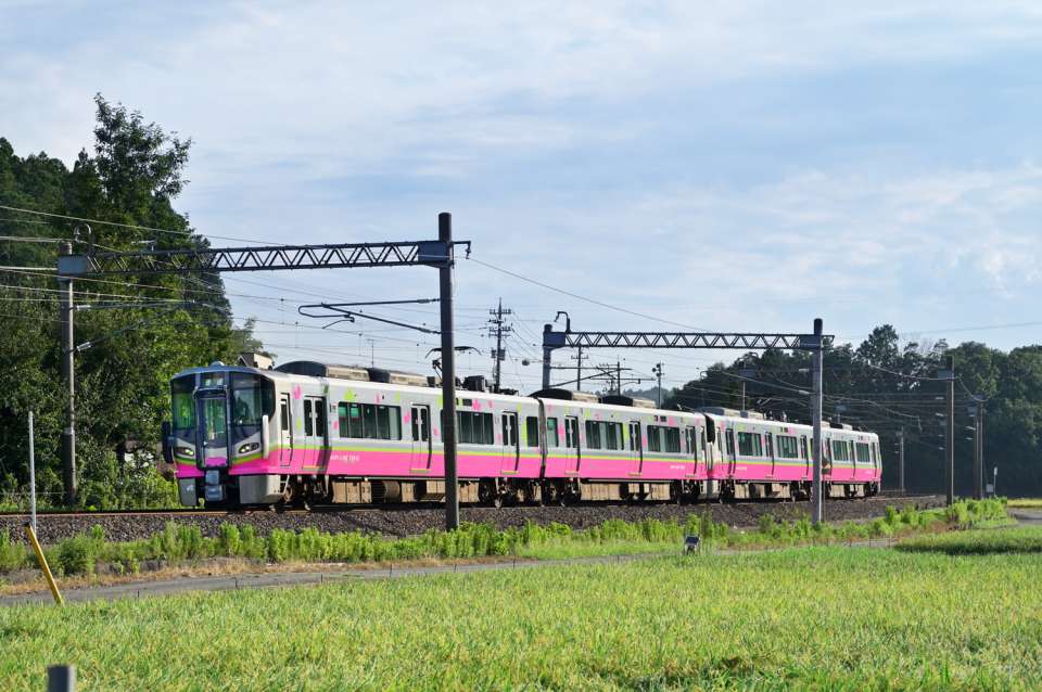 small_hf_24_smr_002.jpg